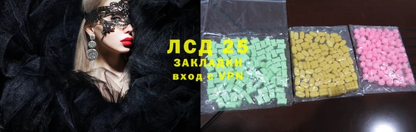 ПСИЛОЦИБИНОВЫЕ ГРИБЫ Верея