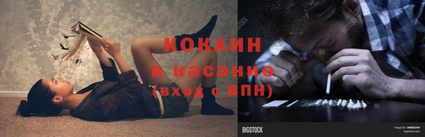 ПСИЛОЦИБИНОВЫЕ ГРИБЫ Верея
