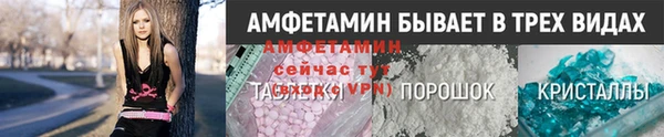 ПСИЛОЦИБИНОВЫЕ ГРИБЫ Верея