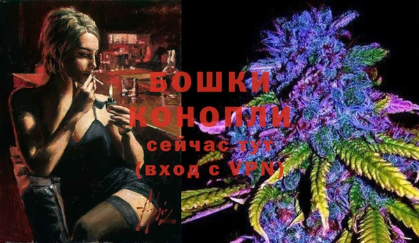 ПСИЛОЦИБИНОВЫЕ ГРИБЫ Верея